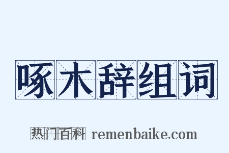 啄木辞组词是什么意思的图片